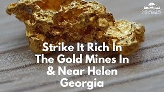 5 Places to Gold Mine Near Helen Georgia [upl. by Linker]