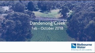 Daylighting Dandenong Creek [upl. by Acinomad]