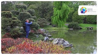 Portrait of a horticulturist from the Japanese Garden at the Jardin botanique de Montréal [upl. by Greenfield675]