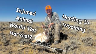 2024 Wyoming Antelope Hunt  What Decision Would You Make [upl. by Akahc]