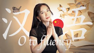 How to learn Mandarin Chinese from 0fluency  Resources Methods and Study Plans [upl. by Maurili]