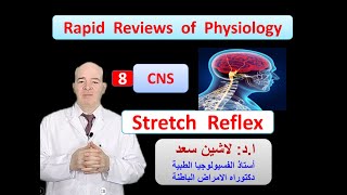 Physiology ReviewsCNS Stretch reflex [upl. by Anafetse]