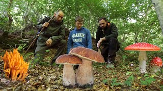 Centinaia di PORCINI i FUNGHI della faggeta [upl. by Sabino145]