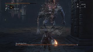 Bloodborne  Bloodletting Beast Chalice [upl. by Denten]