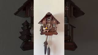 Biergarten Oktoberfest cuckoo clock Moving bier drinker Made in Germany by August Schwabe [upl. by Ramsay839]