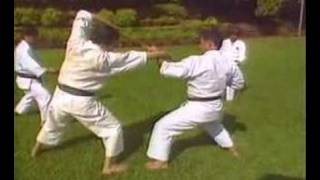 Bassai Sho Kenneth Funakoshi inc Bunkai [upl. by Appledorf223]