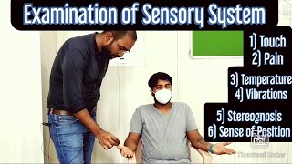 CNS  Examination of Sensory system Upper Limb EnglishHindi MBBS NEXT NEETPG [upl. by Esalb]