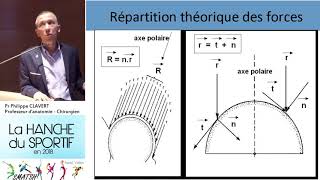 Biomécanique de la hanche extraits Pr Clavert journée SMATSH [upl. by Fania]