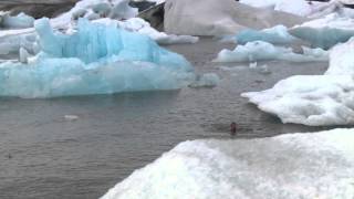 Wim Hof The Iceman [upl. by Tolland165]