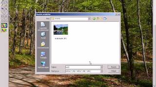 Digitális kép átméretezése Paint programmal  szabad kézzel [upl. by Kaasi]