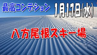 1月17日八方 最高コンディション [upl. by Penelope376]