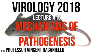 Virology Lectures 2018 15 Mechanisms of Pathogenesis [upl. by Deden]