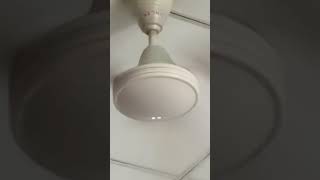 The fan spins fannyvideo fans [upl. by Mazlack157]