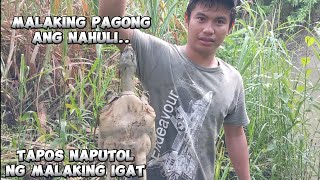 naputulan kami ng kawil sa laki ng dumawing igat  pagong na malaki ang nahuli [upl. by Sebbie]