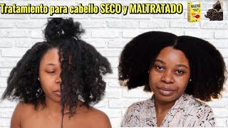 MASCARILLA CASERA HIDRATANTE para cabello reseco áspero sin brillo y dañado  Reto Hidratación [upl. by Ainotna229]