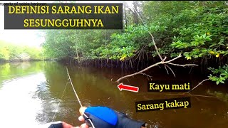 Rekor terbanyak mancing ikan dimuara cukup untuk ngasih makan sekampung [upl. by Dewar]