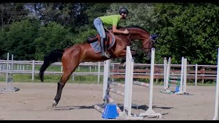 Salto ostacoli con un cavallo di 4 anni  corso di equitazione online [upl. by Timothea]