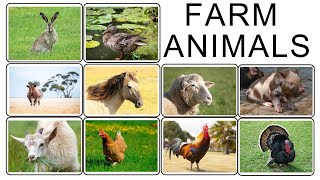 Farm Animals kidslearninglibrary [upl. by Gwenora163]