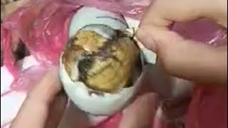 Cracking Duck Egg  what a surprise there is BALUT [upl. by Elleda783]