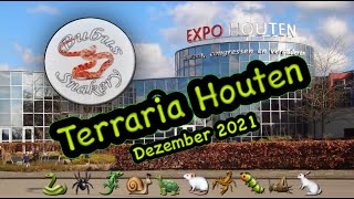 Terraria Houten Dezember 2021  Reptilienbörse  reptile show [upl. by Ainotahs]