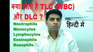 TLC or WBC and DLC test in hindi [upl. by Ordisi]