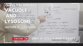 Vacuole  Lysosome  Chapter 4 class 9th Biology  Class 9th Biology Unit 4th Cell’s and Tissues [upl. by Delfeena]