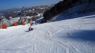 Sit SkiMono Ski Dream Program 2013 at Alpensia Pyeongchang South Korea [upl. by Yeslek]