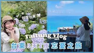 【台東忘憂之旅👒】台東美食吃不停｜多良車站秘境海景咖啡廳｜青山農場賞繡球｜阿咪米苔目、厚切生魚片、巨無霸蒸餃、早點來早餐店 [upl. by Aleel]