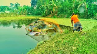 Best Fishing🐬🐬net fishing in river  net fishing in sea🐬🐬net fishing in village fishing [upl. by Htennek]