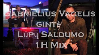 Gabrielius Vagelis Gintė  Lūpų Saldumo 1h mix [upl. by Brindell]