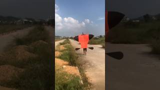 Thả diều sáo đại trà cõng giàn sáo gì đây các bạn vietnamkite kite xuhuong youtubeshorts [upl. by Remus856]