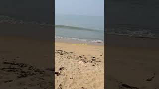 Cherai Beach Kerala [upl. by Anirbac]