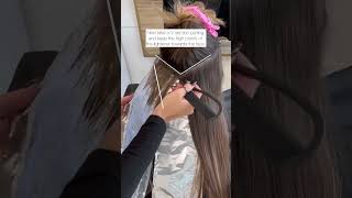 HOWTO Foilayage Sectioning Back Placement with taylordidmyhair 👏 [upl. by Mehalek25]