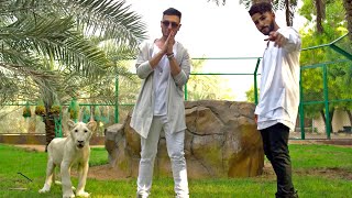 Adam Saleh  Waynak ft Faydee Official Music Video [upl. by Ingold]