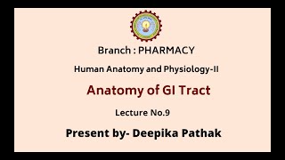 Human Anatomy amp PhysiologyII  Anatomy of GI Tract  AKTU Digital Education [upl. by Ahsiekat]