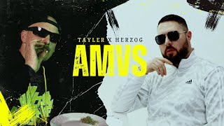 Tayler amp Herzog  Alles muss versteckt sein prod von StanTuned amp Nouh [upl. by Brad]