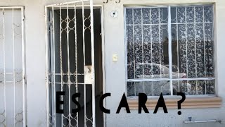 Casa INFONAVIT una recámara 350 mil pesos‼️ [upl. by Yssirhc]