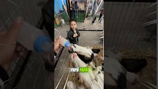 DANI VS LAS CABRAS😂🤷🏻‍♂️😱 [upl. by Nyvek]