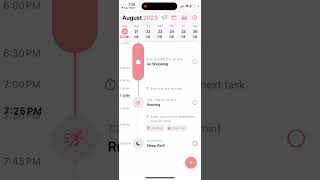 STRUCTURED APP REVIEW  BEST DAILY PLANNER [upl. by Fernyak441]