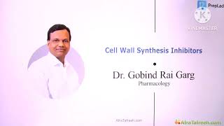 Cell Wall Synthesis Inhibitors  Lecture5 by Dr Govind Rai Garg [upl. by Salinas]