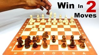 HOW TO WIN CHESS IN 2 MOVES in HINDI [upl. by Hootman773]