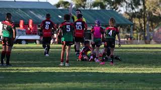 U11 Div 1 Rugby League  Colyton vs St Clair RD10 2023 [upl. by Heathcote]