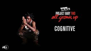 Kodak Black  Cognitive Official Audio [upl. by Assirem]