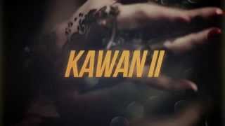 KAWAN 2  OFFICIAL VIDEO  Bikram Singh feat Gunjan amp Tigerstyle [upl. by Stranger377]