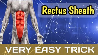 Rectus Sheath Abdomen [upl. by Eniamart343]