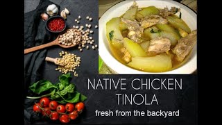 Native Chicken Tinola  Tinolang Manok   Ilonggo Version [upl. by Corson684]