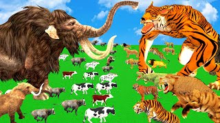 Giant Tiger Zombie Wolf Tiger Attack Cow Cartoon Buffalo Save By Woolly Mammoth Elephant Vs Dinosaur [upl. by Aivuy535]