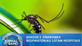 Dengue e síndromes respiratórias fazem hospitais de SP lotarem  Jornal da Band [upl. by Survance613]