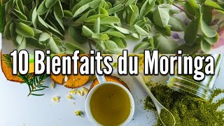 Les bienfaits du Moringa OleiferaSénémed Santé [upl. by Elsa]