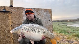 1 week session on my fishery Mid April 2023 Spring fishing lots of carp [upl. by Werda183]